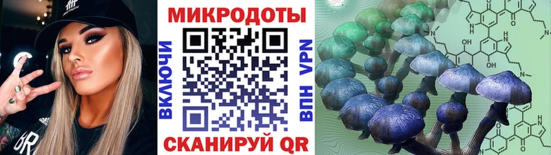Галлюциногенные грибы ЛСД  OMG онион  Бологое  купить наркоту 
